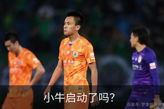 小牛启动了吗？